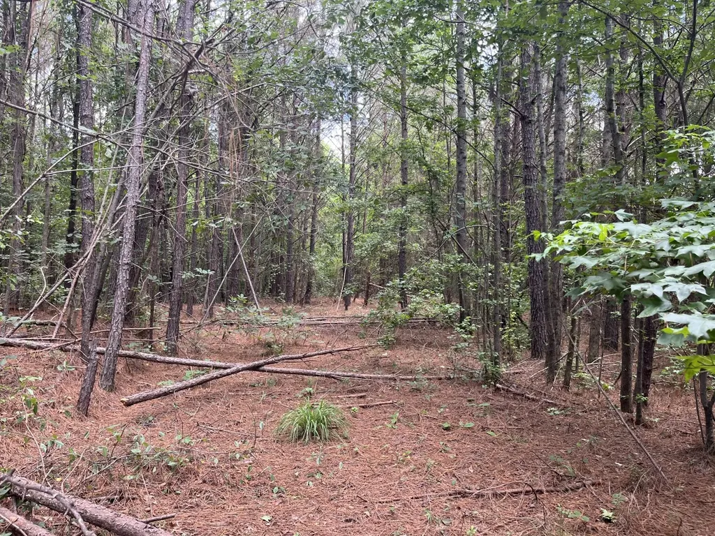0 Highway 13 Eldridge AL 35554