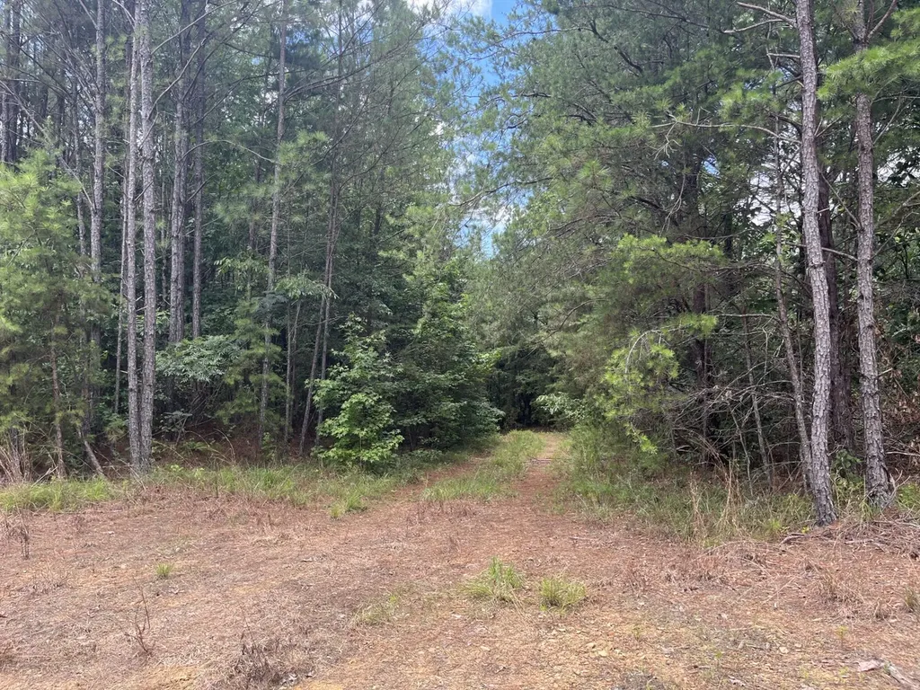 0 Highway 13 Eldridge AL 35554
