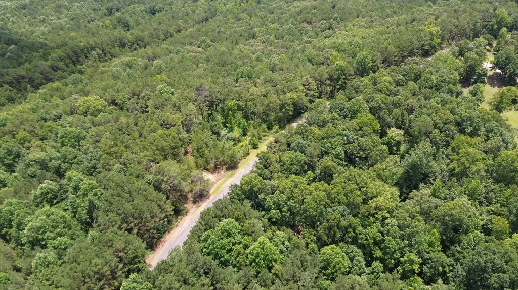 0 Highway 13 Eldridge AL 35554