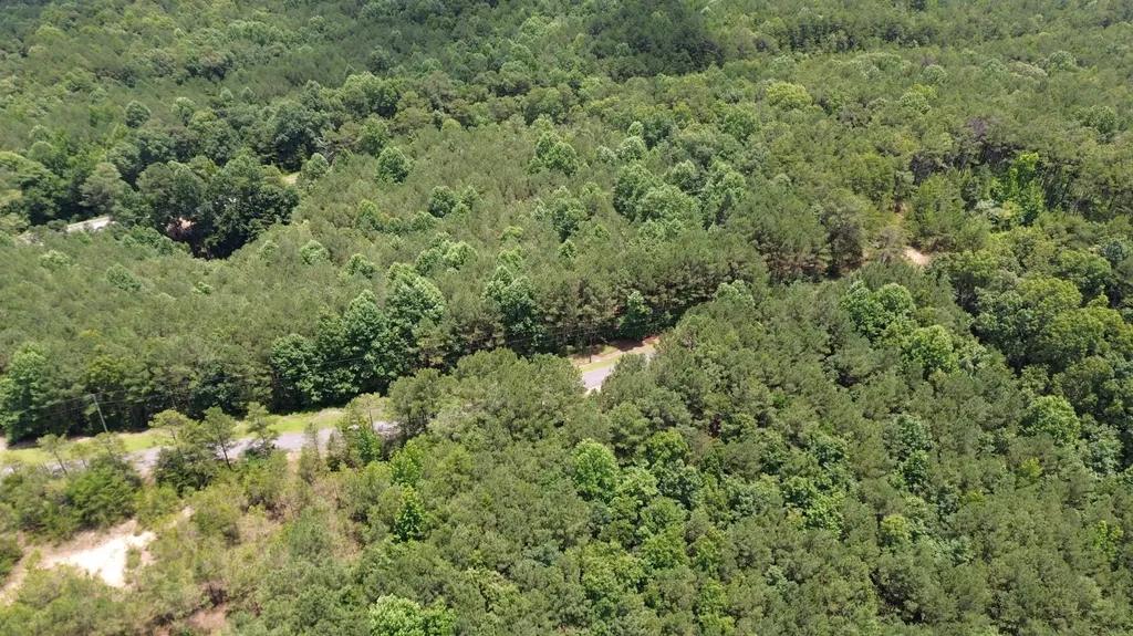 0 Highway 13 Eldridge AL 35554
