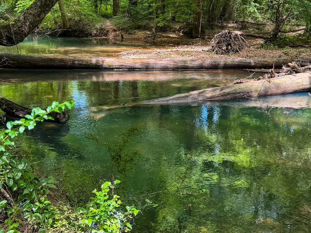 18390 County Road 8 Florence AL 35633