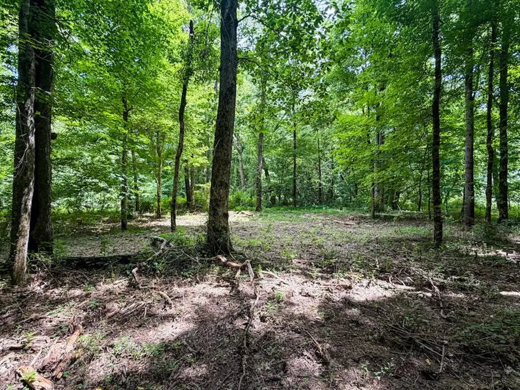 18390 County Road 8 Florence AL 35633