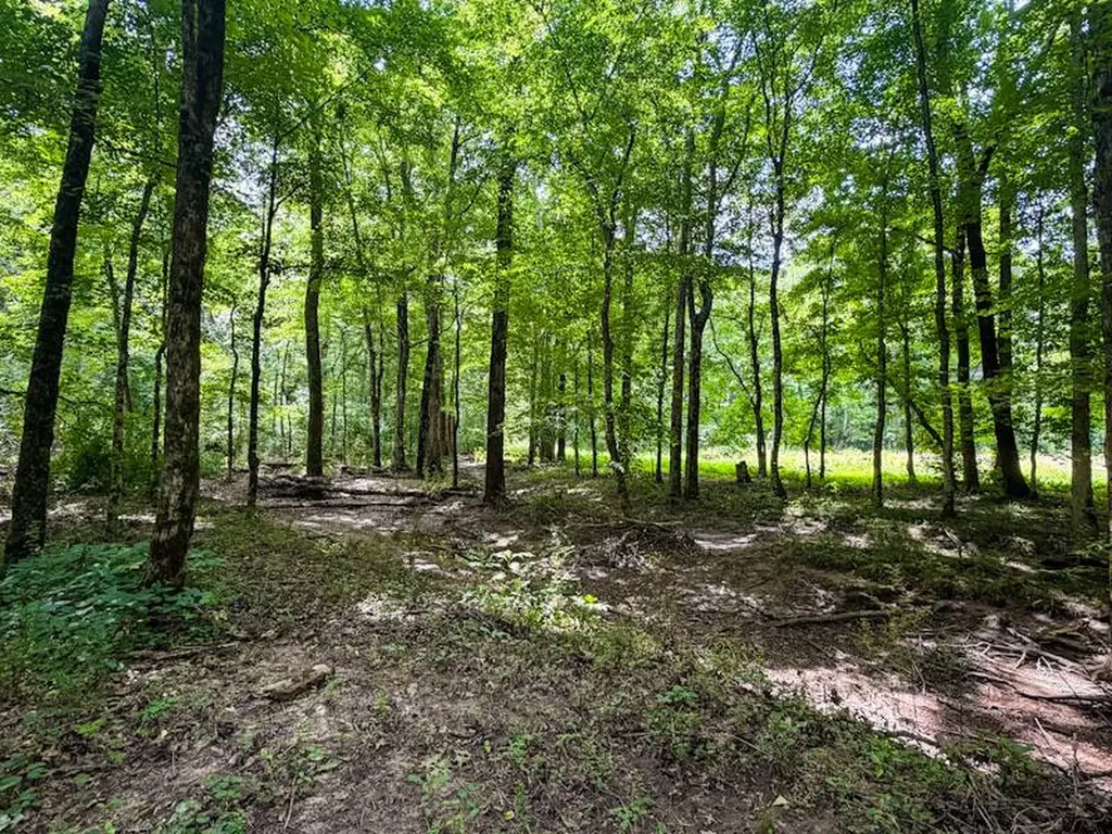 18390 County Road 8 Florence AL 35633