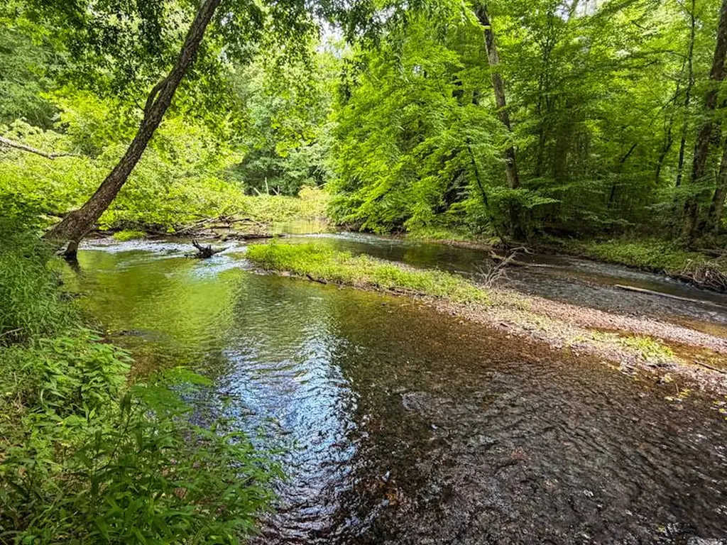 18390 County Road 8 Florence AL 35633