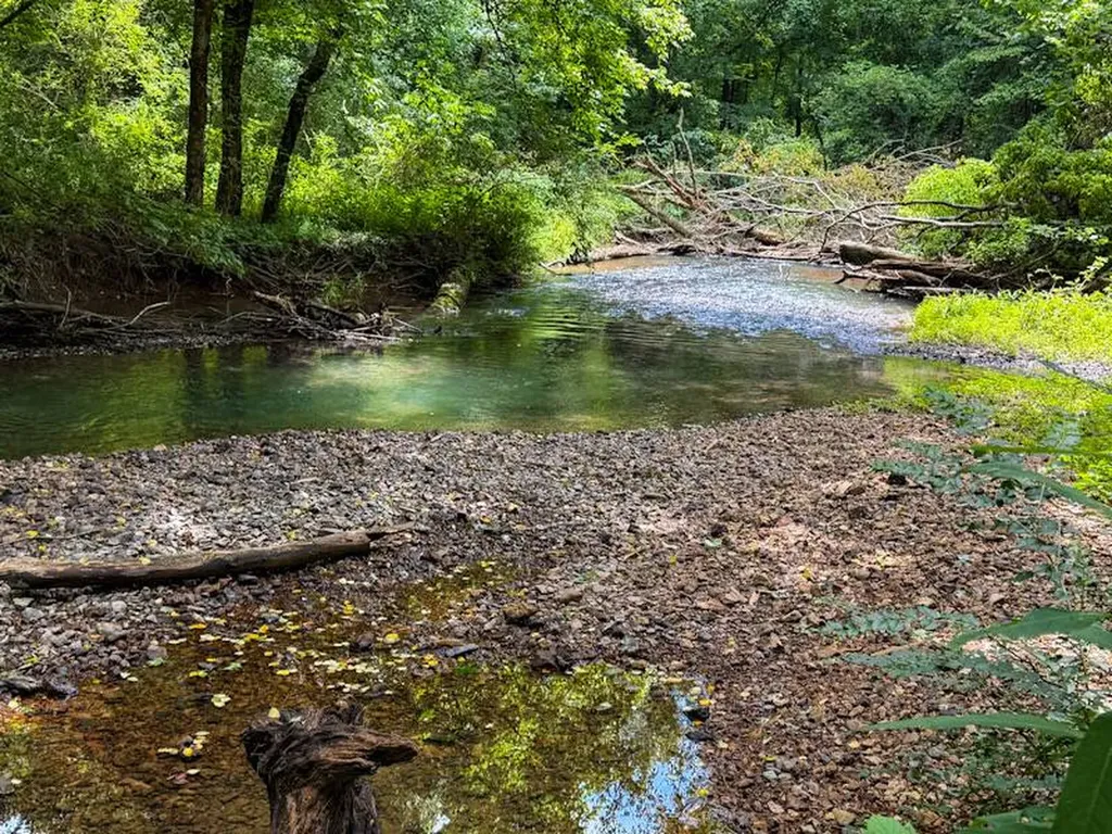 18390 County Road 8 Florence AL 35633