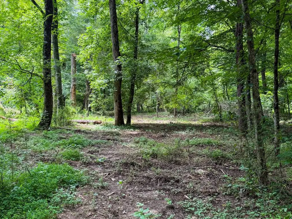18390 County Road 8 Florence AL 35633