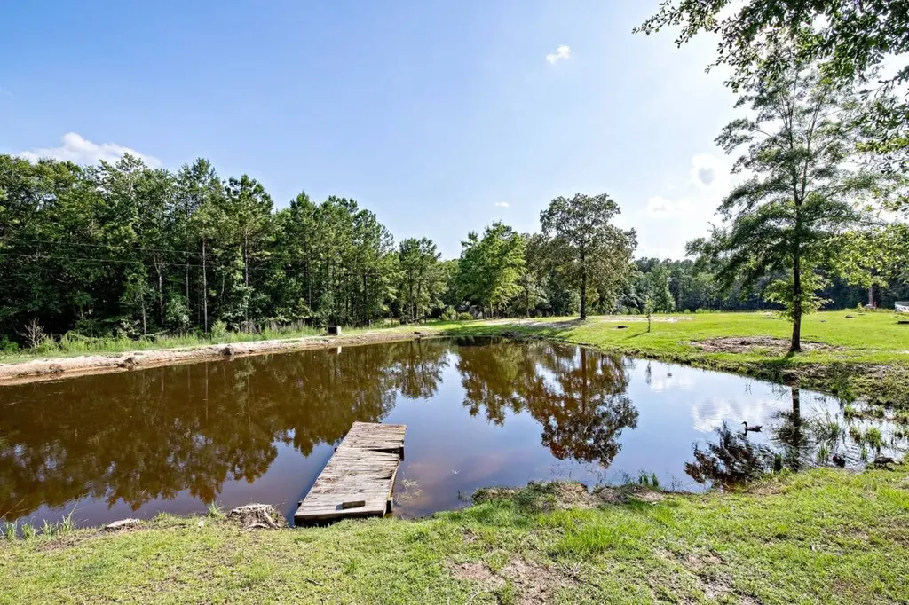 64 Eckhoff Drive Chatom AL 36518
