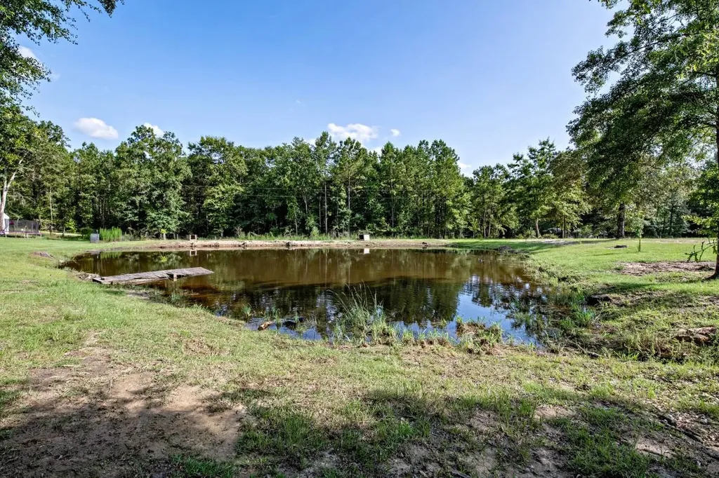 64 Eckhoff Drive Chatom AL 36518