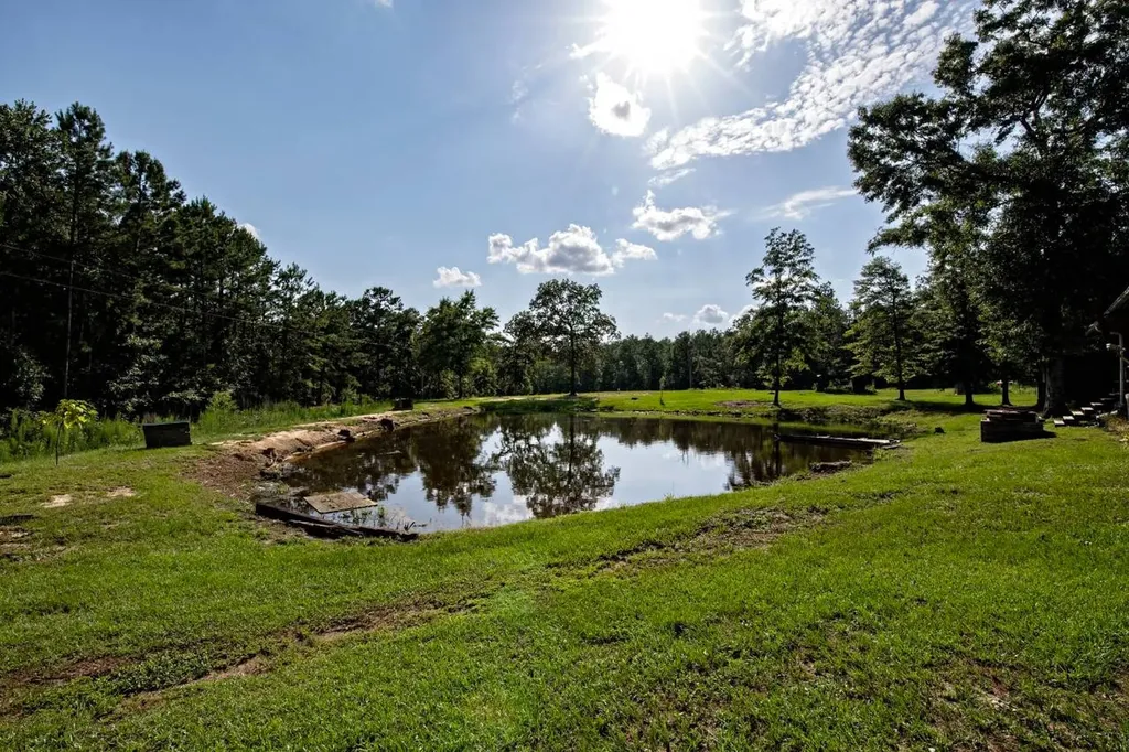 64 Eckhoff Drive Chatom AL 36518