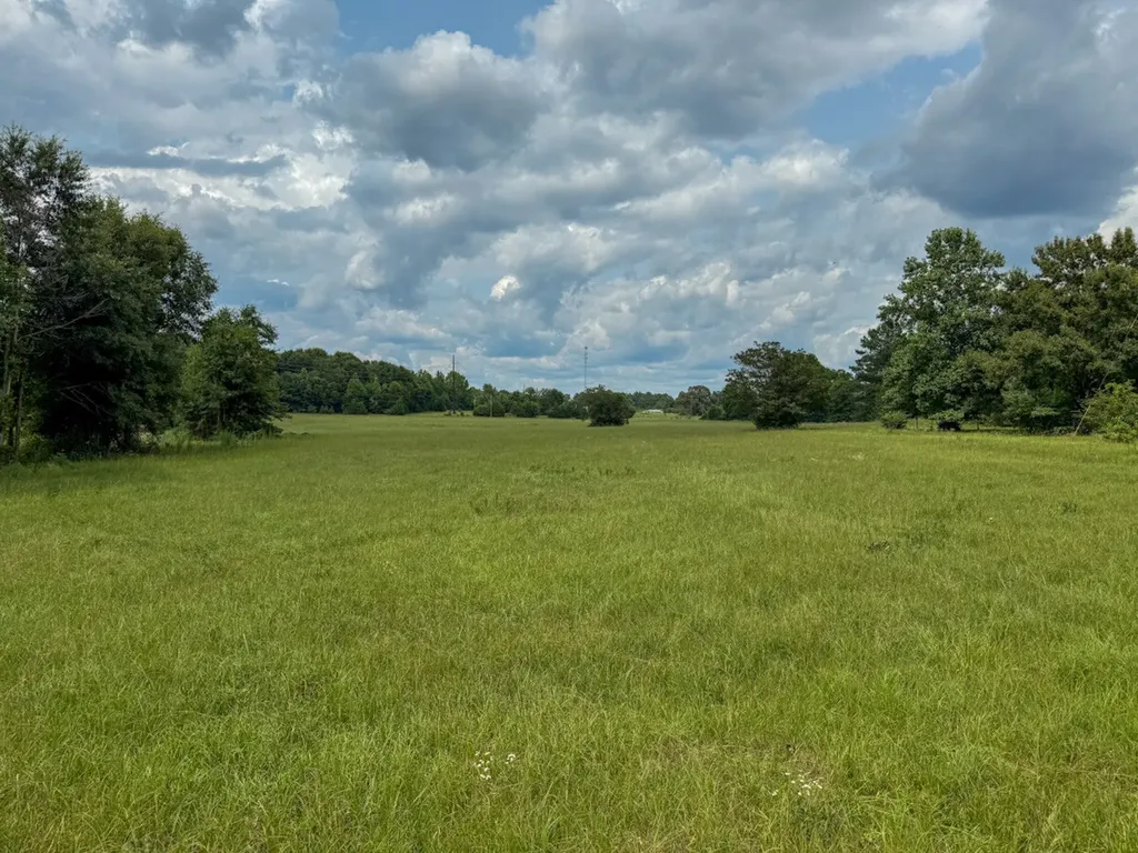 0 Dallas County 269 Seymore Rush Road Valley Grande AL 36703