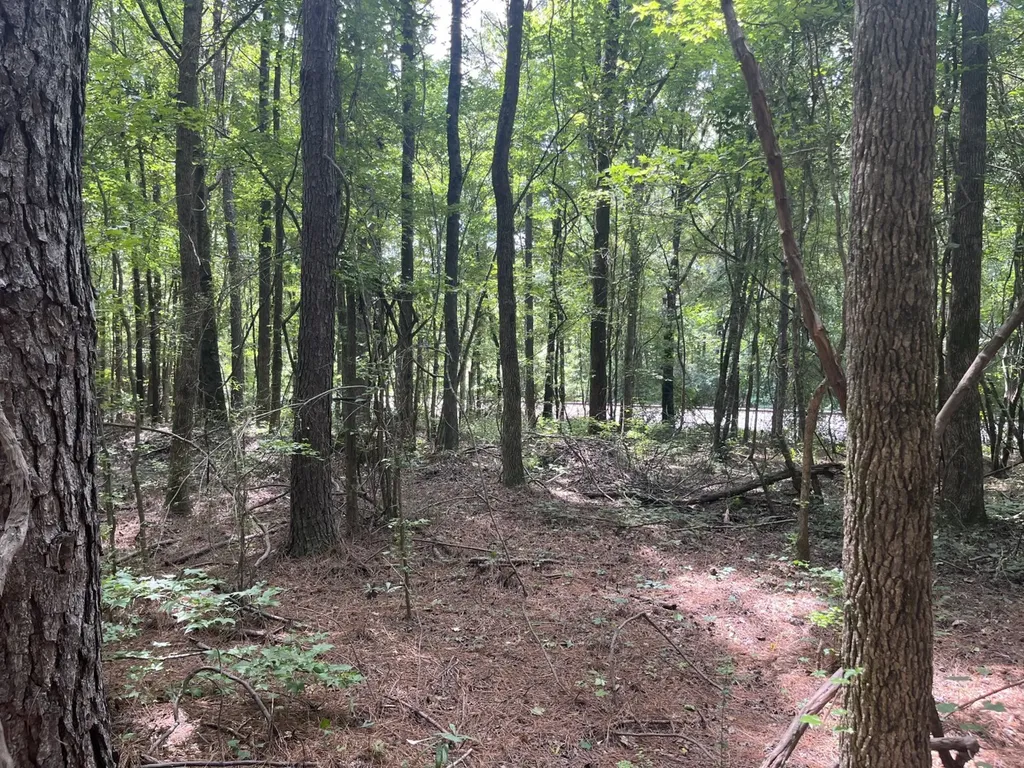 0 Sandcut Road Nauvoo AL 35578