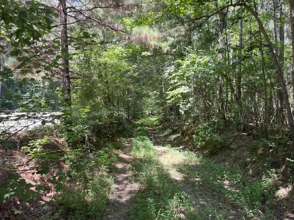 0 Sandcut Road Nauvoo AL 35578