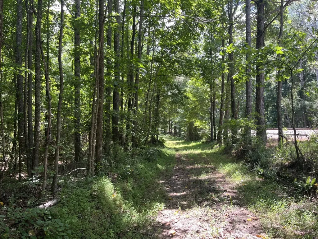 0 Sandcut Road Nauvoo AL 35578