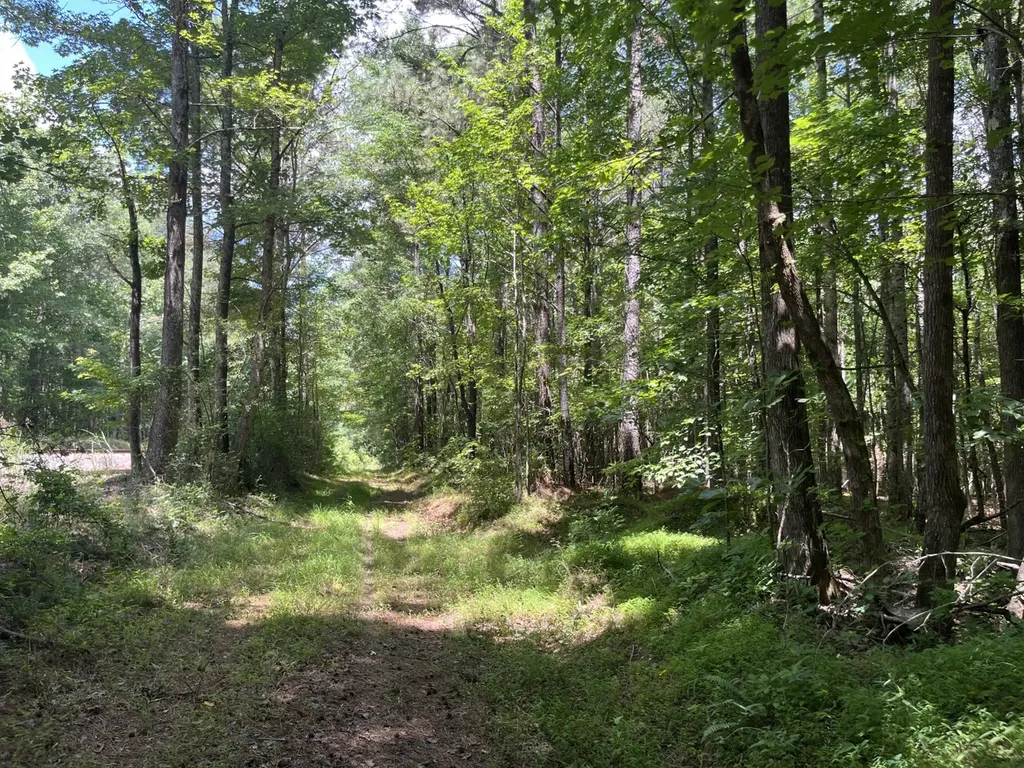 0 Sandcut Road Nauvoo AL 35578