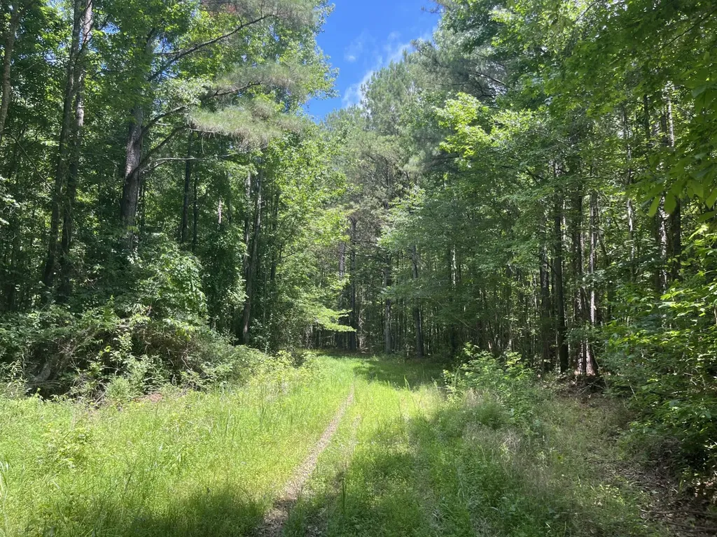0 Sandcut Road Nauvoo AL 35578