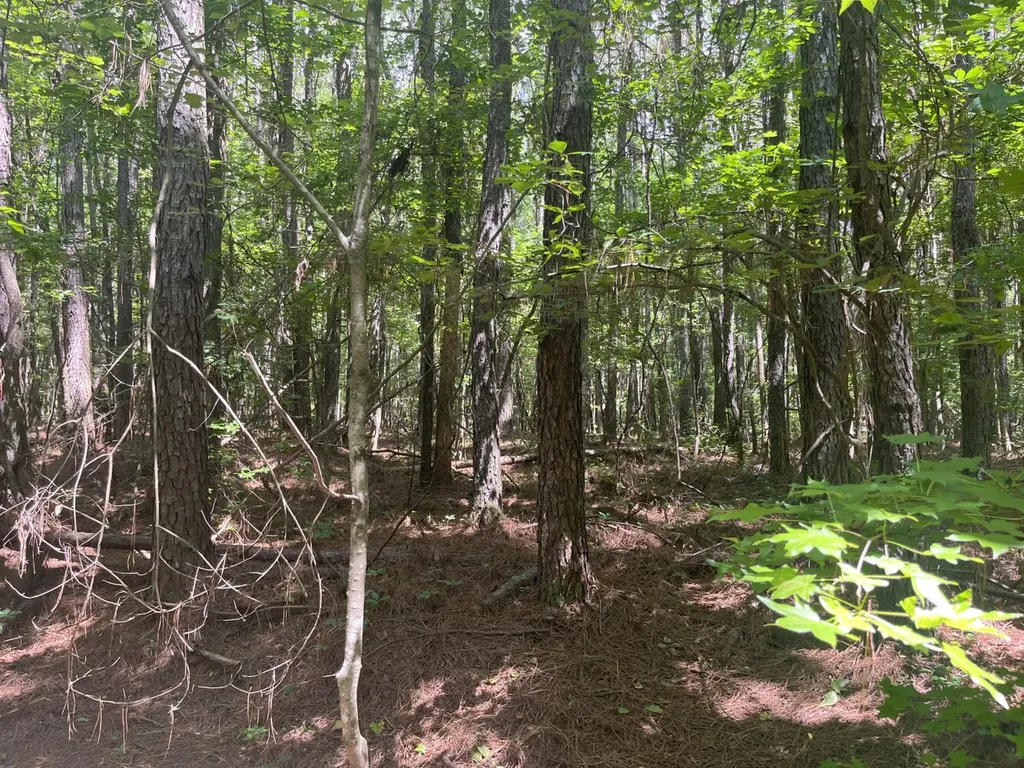 0 Sandcut Road Nauvoo AL 35578