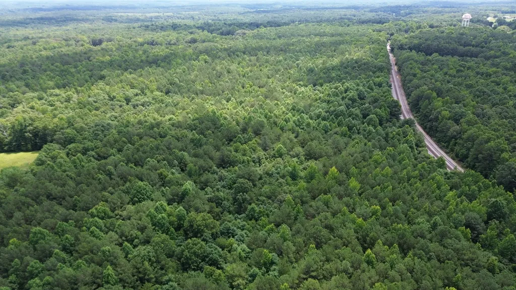 0 Sandcut Road Nauvoo AL 35578