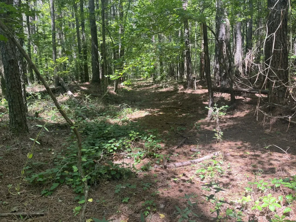 0 Sandcut Road Nauvoo AL 35578