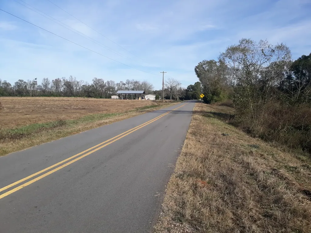 0 Mills Austin Road Daleville AL 36303