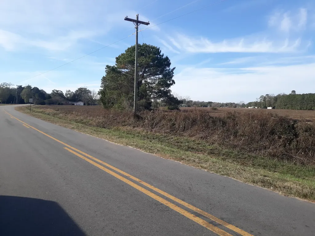 0 Mills Austin Road Daleville AL 36303