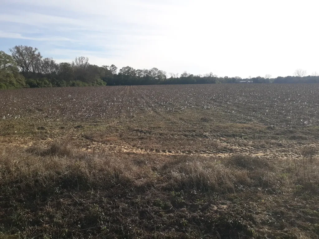 0 Mills Austin Road Daleville AL 36303