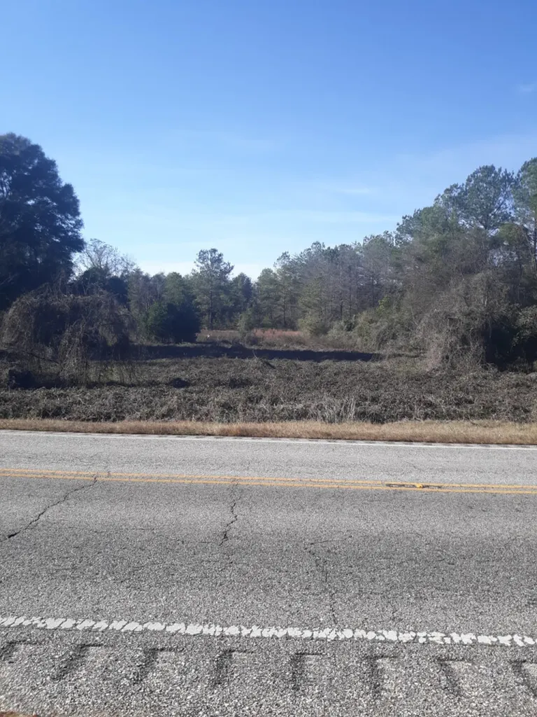 0 Highway 85 Daleville AL 36322