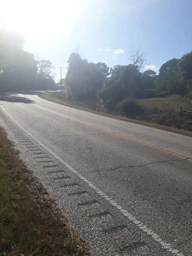 0 Highway 85 Daleville AL 36322