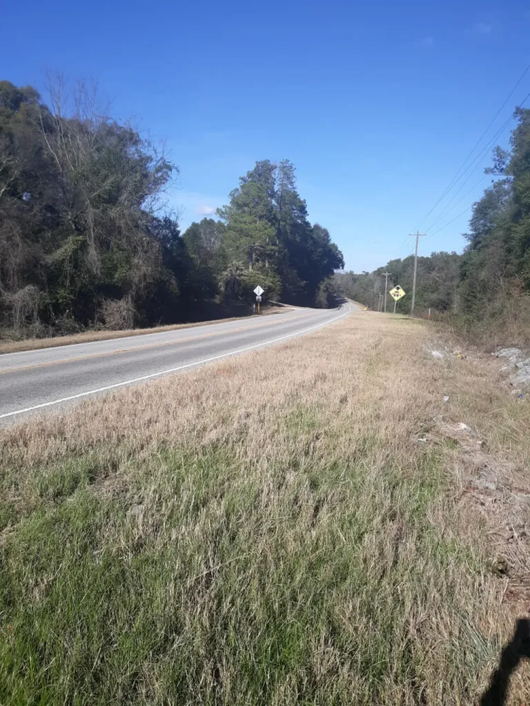 0 Highway 85 Daleville AL 36322