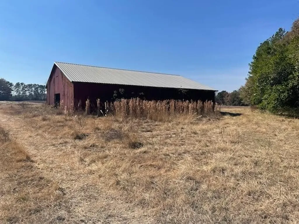 0 Mills Austin Road Tract Daleville AL 36322