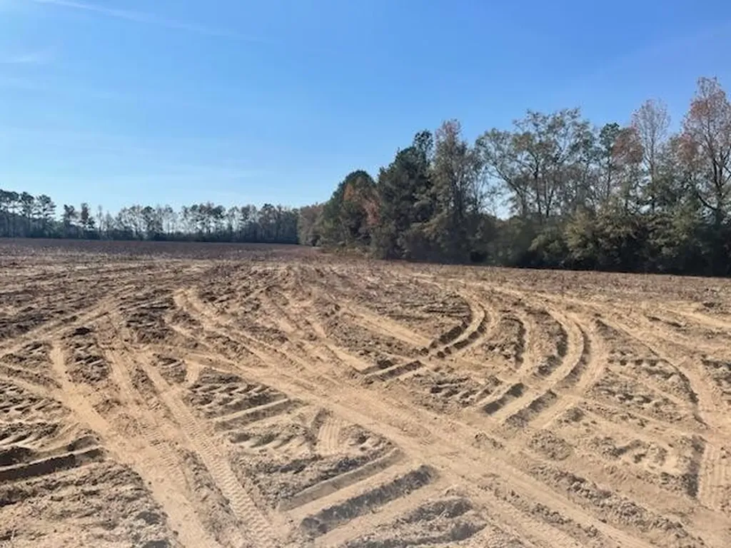 0 Mills Austin Road Tract Daleville AL 36322
