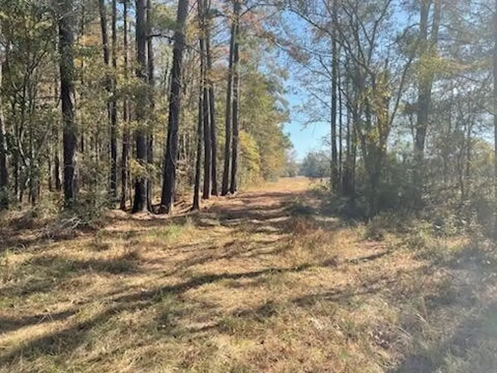 0 Mills Austin Road Tract Daleville AL 36322
