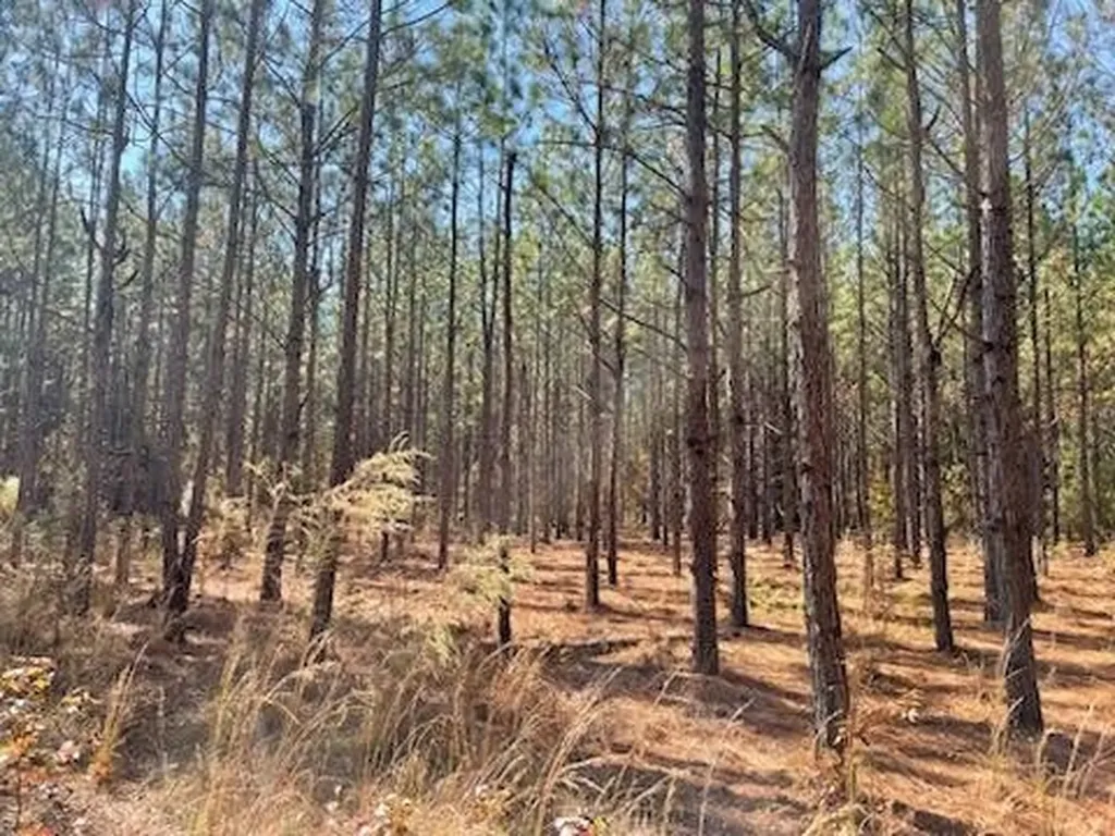 0 Mills Austin Road Tract Daleville AL 36322