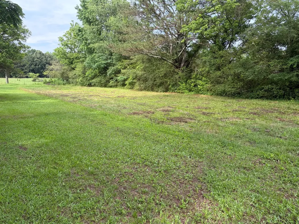 4.5 County Road 660 Pisgah AL 35765