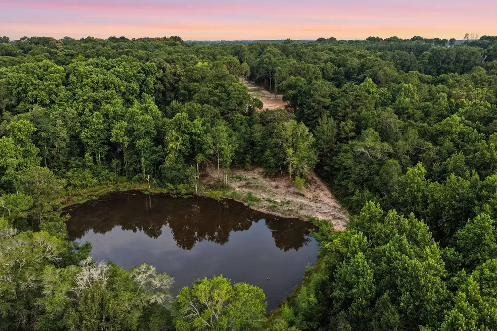 0 County Road 438 Elba AL 36323