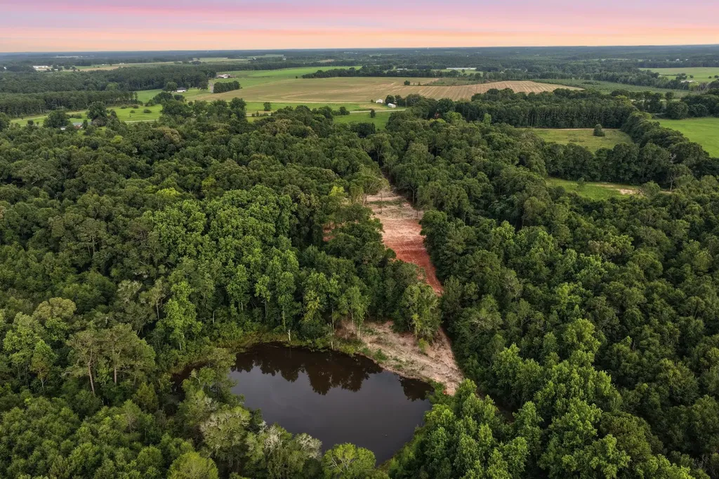 0 County Road 438 Elba AL 36323