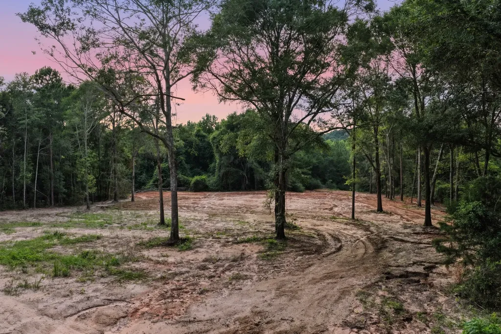 0 County Road 438 Elba AL 36323