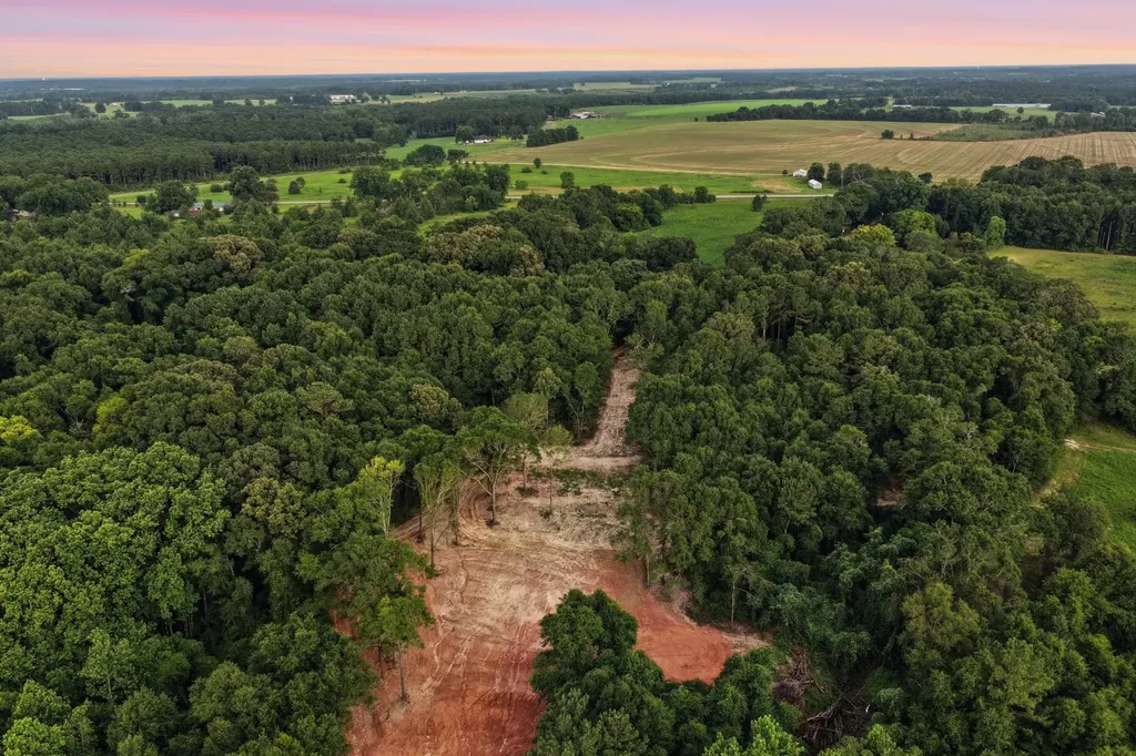 0 County Road 438 Elba AL 36323