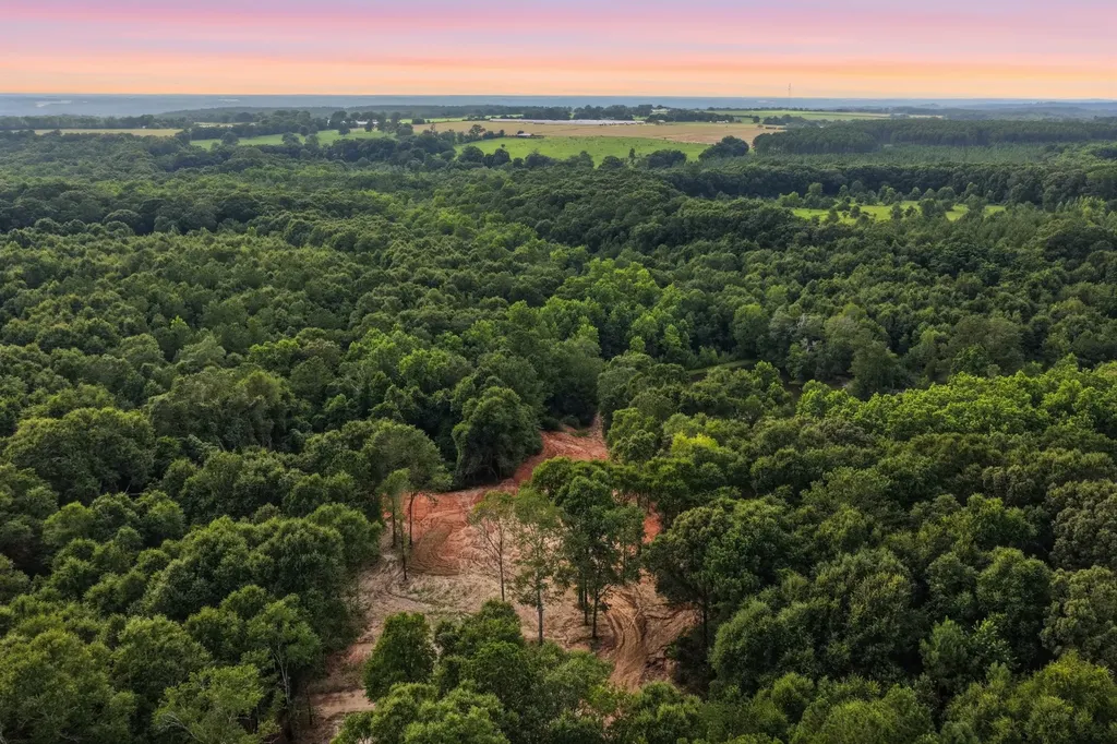 0 County Road 438 Elba AL 36323