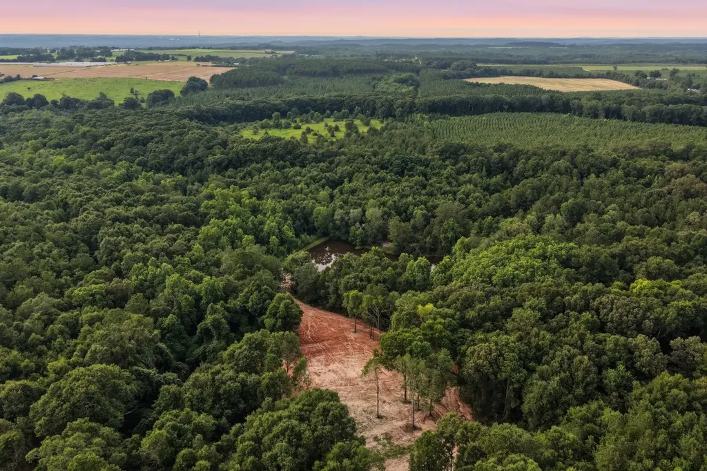 0 County Road 438 Elba AL 36323