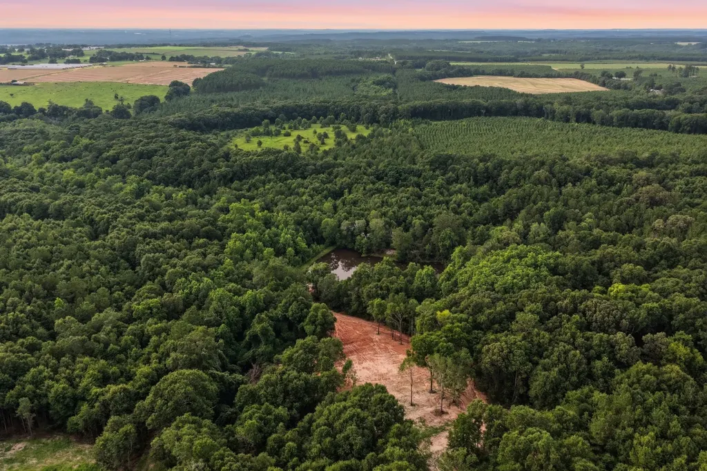 0 County Road 438 Elba AL 36323