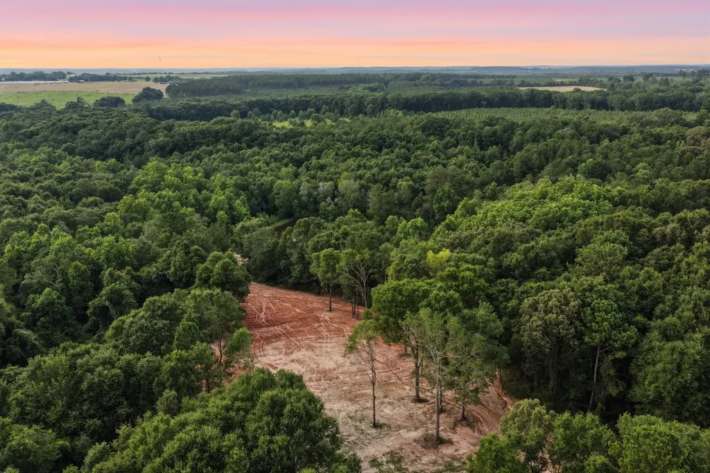 0 County Road 438 Elba AL 36323