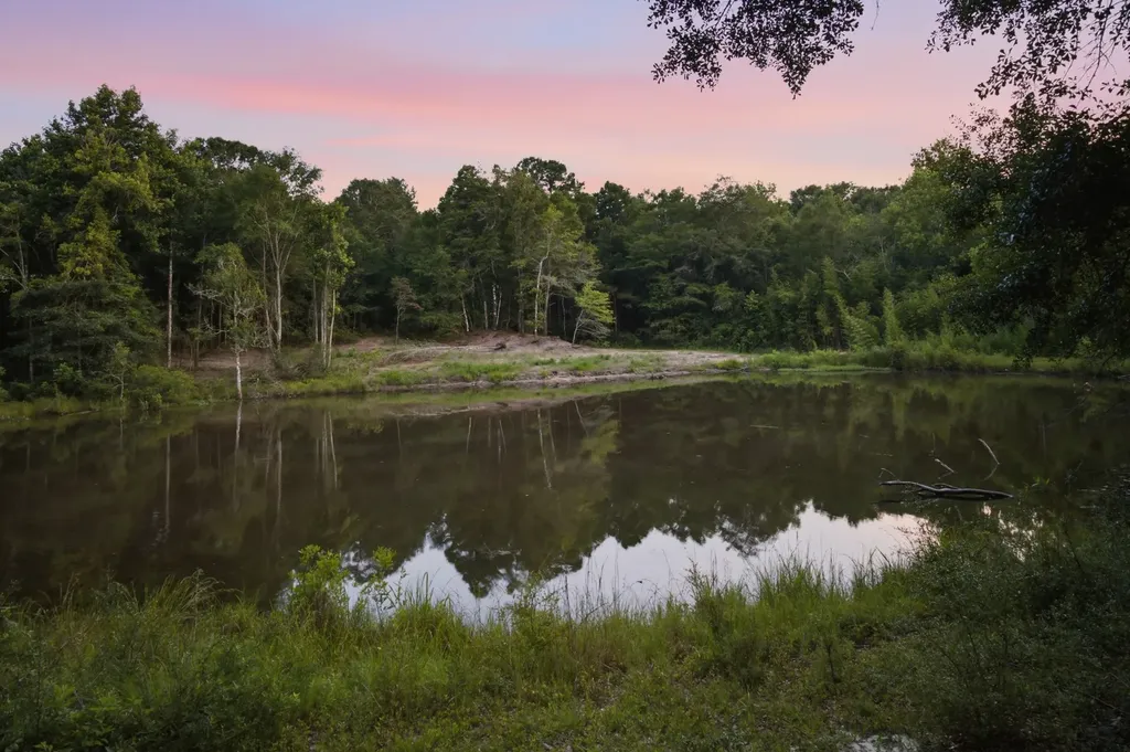 0 County Road 438 Elba AL 36323