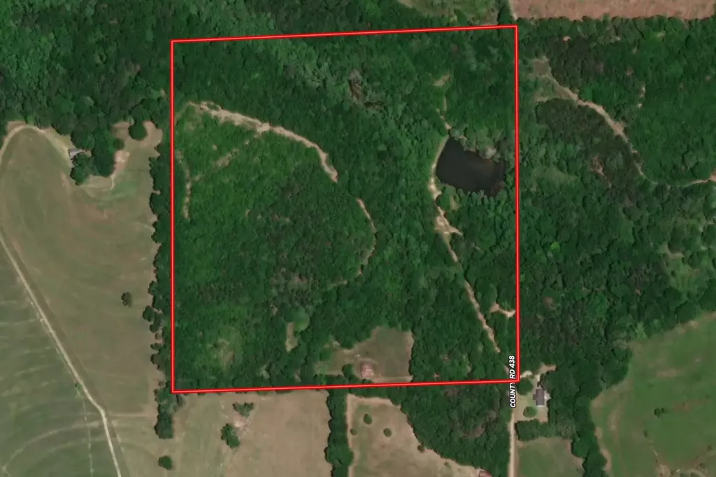0 County Road 438 Elba AL 36323
