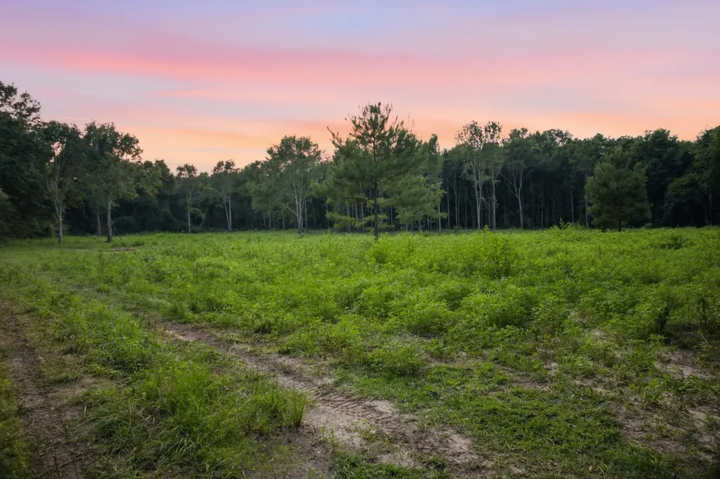 0 County Road 438 Elba AL 36323