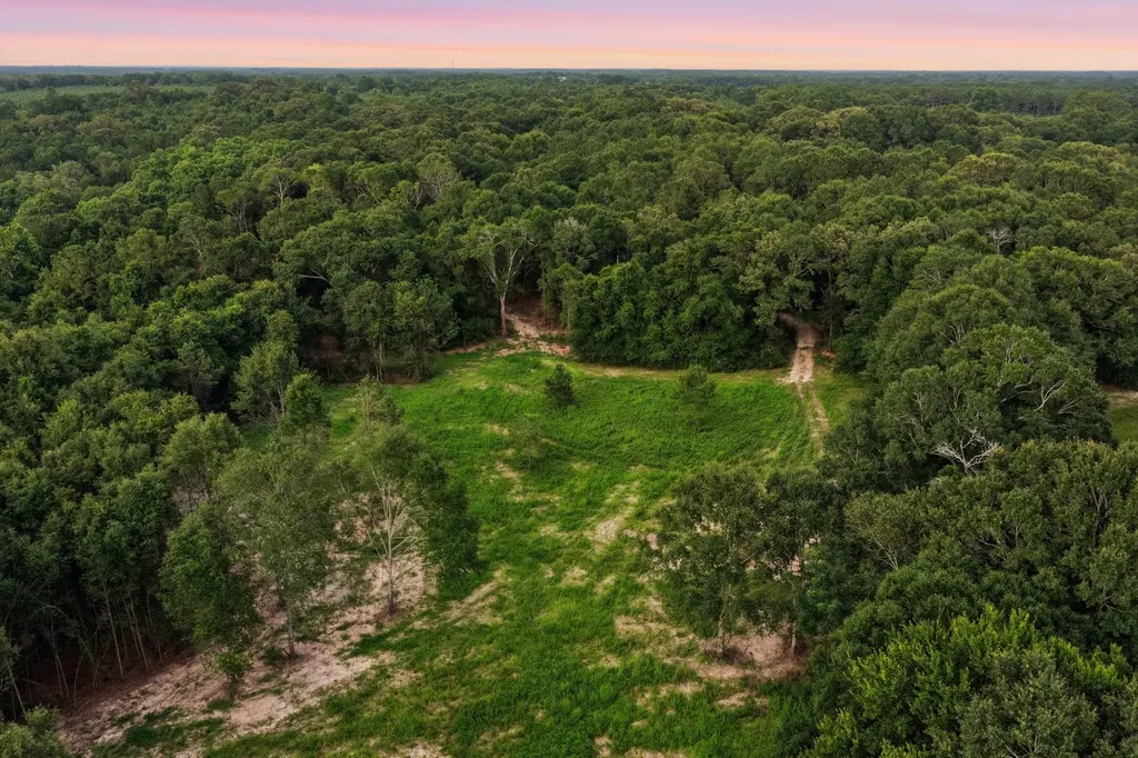 0 County Road 438 Elba AL 36323