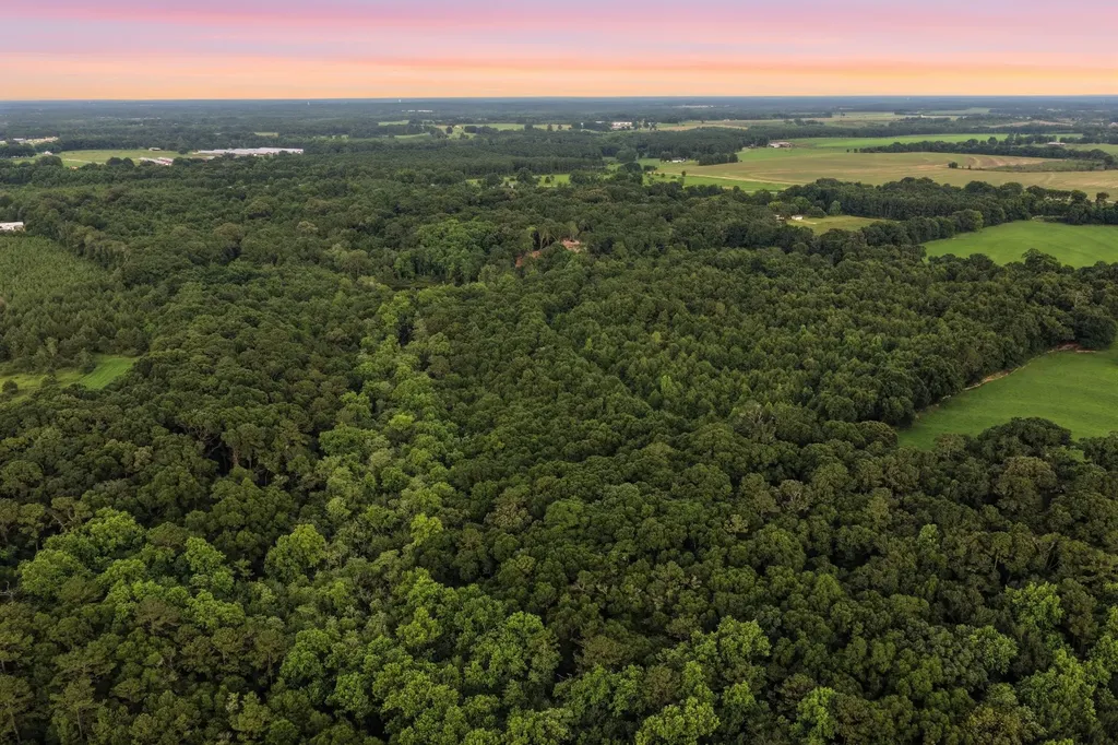 0 County Road 438 Elba AL 36323
