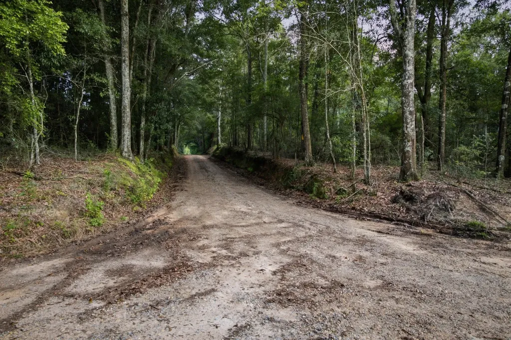 0 County Road 438 Elba AL 36323