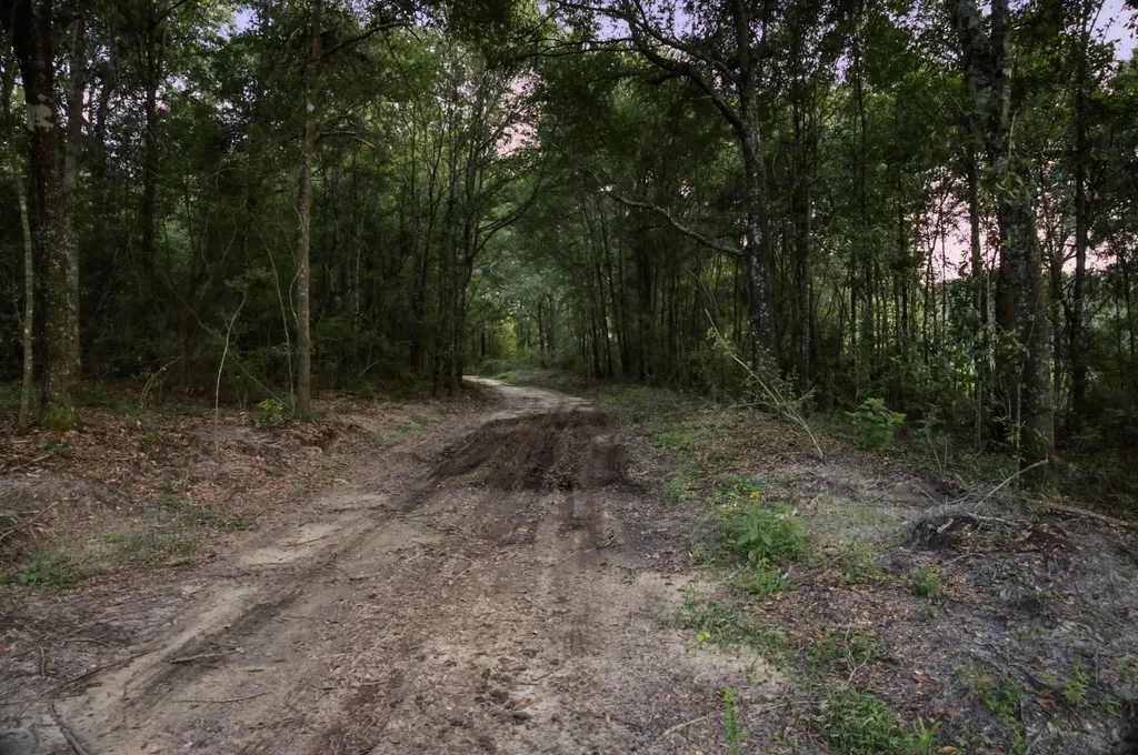 0 County Road 438 Elba AL 36323