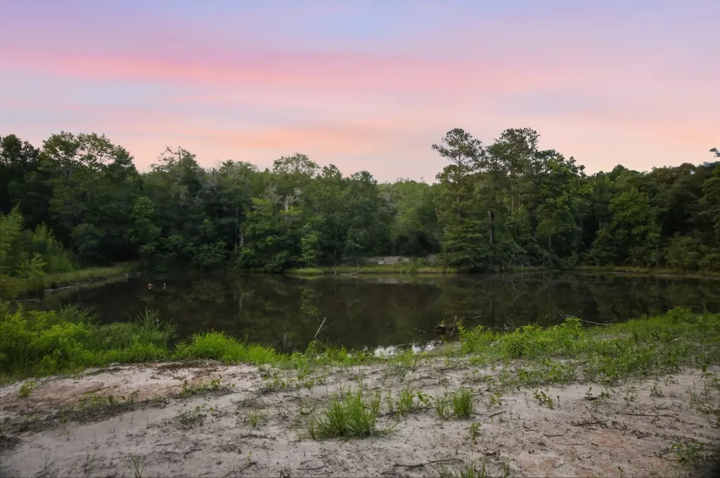 0 County Road 438 Elba AL 36323