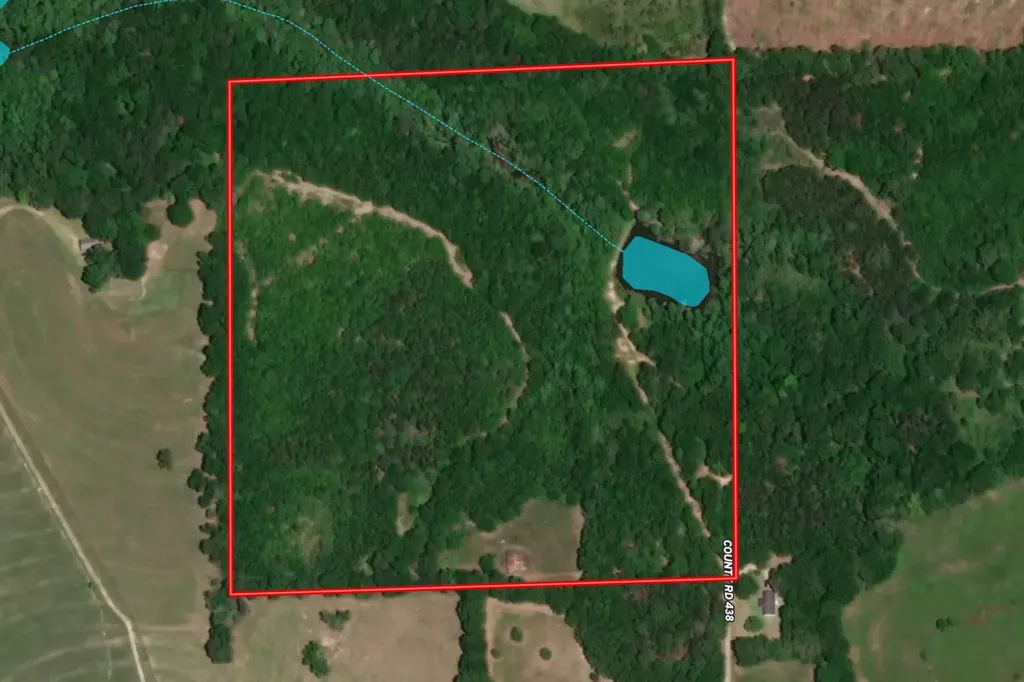 0 County Road 438 Elba AL 36323